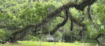 Charming 2-bedroom cottage on the bayou Teche in Jeanerette with AC, WiFi