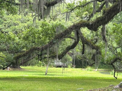 Charming 2-bedroom cottage on the bayou Teche in Jeanerette with AC, WiFi