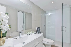 Hair dryer, towels, soap, shampoo