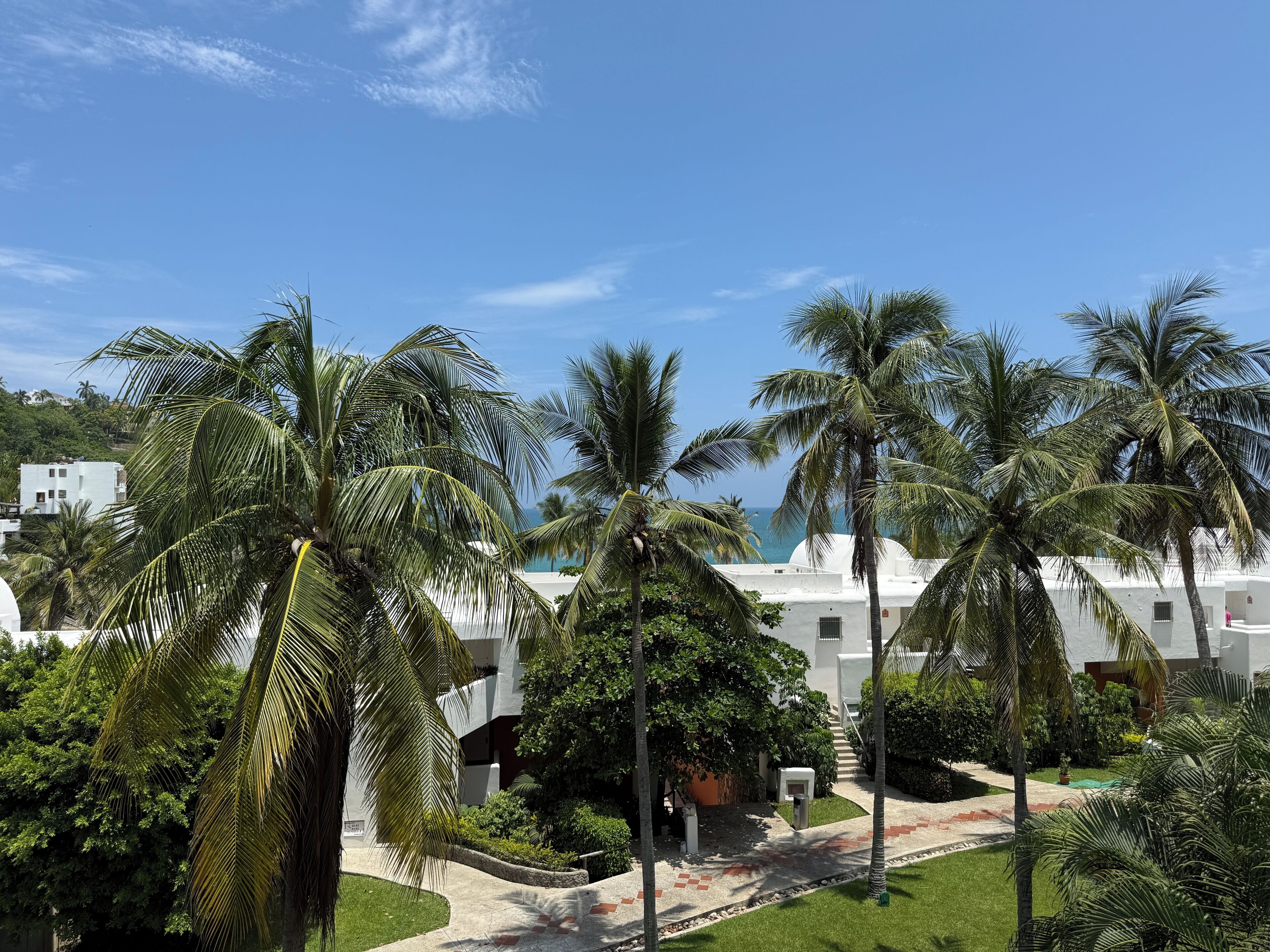 Een resort met palmbomen, een pad en uitzicht op de oceaan.