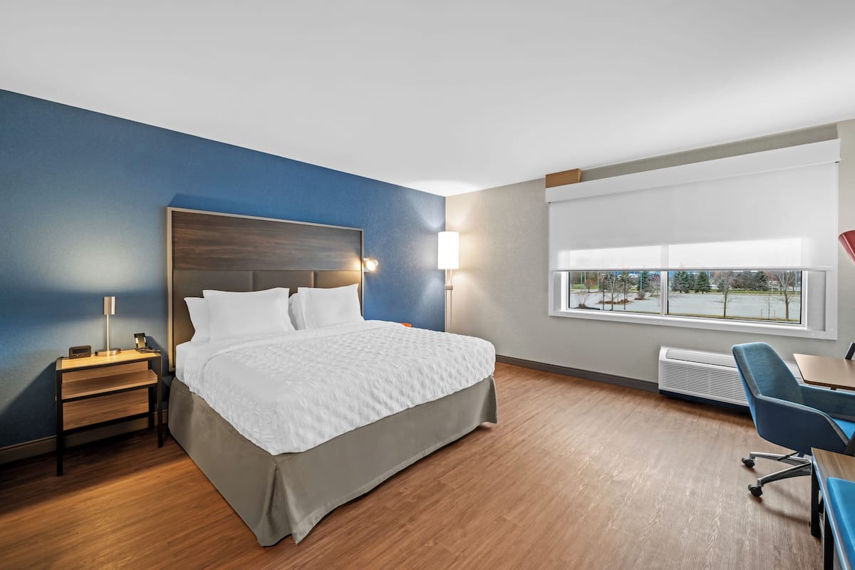 Room, 1 King Bed, Accessible (Roll-In Shower)