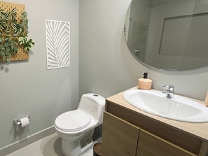 Secador de cabelo, toalhas de banho, papel higiênico 
