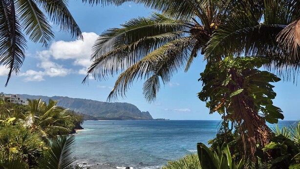 A coastal landscape with a clear view of the ocean, a beach with rocks, and lush greenery including palm trees.