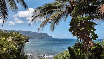 Beach nearby, sun-loungers, beach towels
