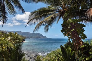 Un paysage côtier offrant une vue dégagée sur l’océan, une plage parsemée de rochers et une végétation luxuriante, notamment des palmiers.