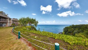 A coastal hotel with a view of the ocean, a grassy pathway, and a small tree.