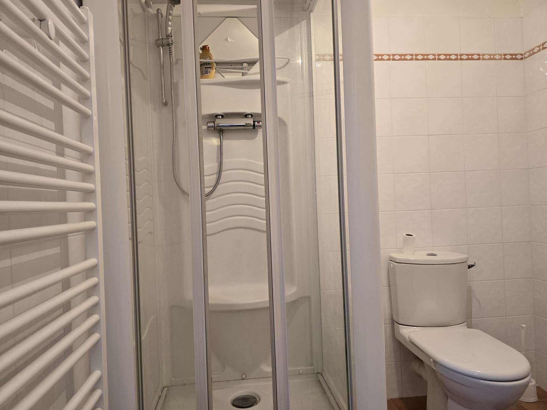Een badkamer met een douche met glazen wand, een toilet en een witte handdoekradiator.