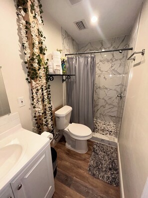 Shower, hair dryer, towels, soap