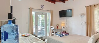 BlueWaters Secluded seaview Studio. $45 car rental