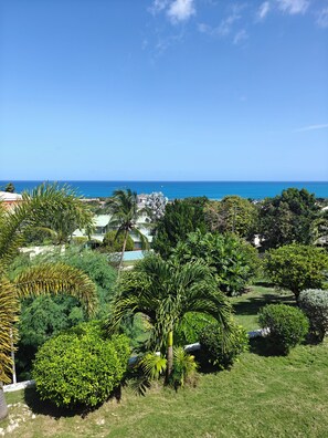 A lush garden with various trees and a view of the ocean.