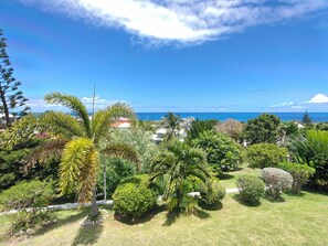 A lush garden with various tropical plants and a view of the ocean.