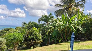 Un área de estar al aire libre con mesas y bancos, rodeada de exuberante vegetación y palmeras, con vista a un cuerpo de agua.