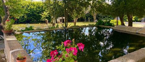 Overnatningsstedets område