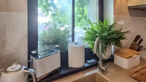 Une cuisine avec une fenêtre, une bouilloire, un rouleau d’essuie-tout, une plante et un bloc à couteaux.