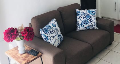 Sun 311 Roosevelt Downtown local-urban humble area 1-bedroom apartment with AC