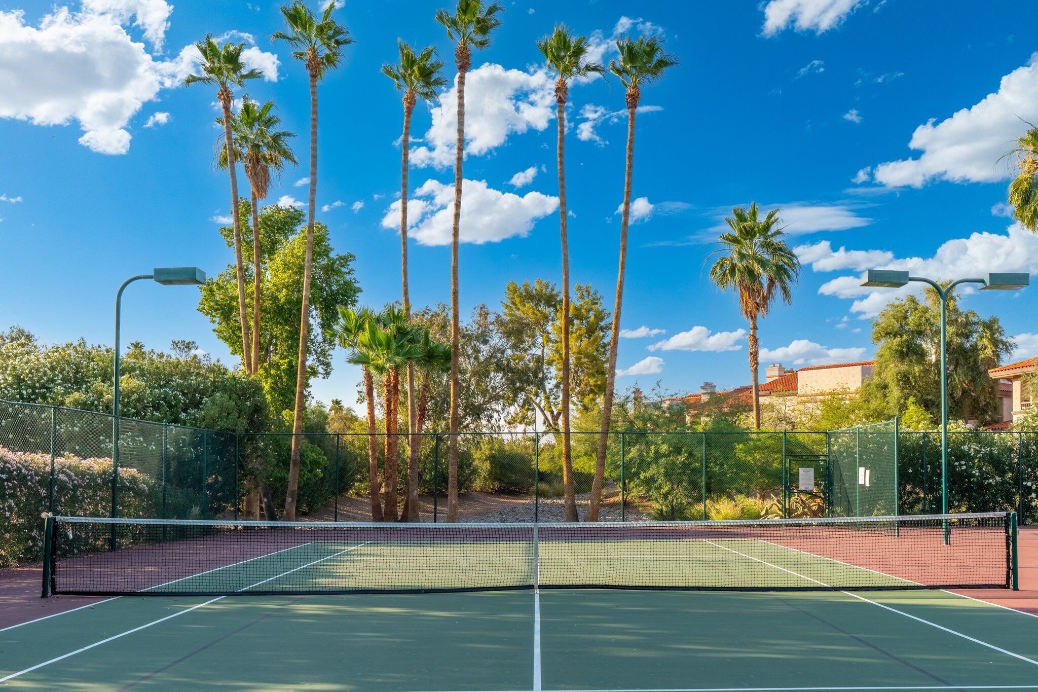 Una cancha de tenis con red, rodeada por una cerca, palmeras y un cielo azul despejado.