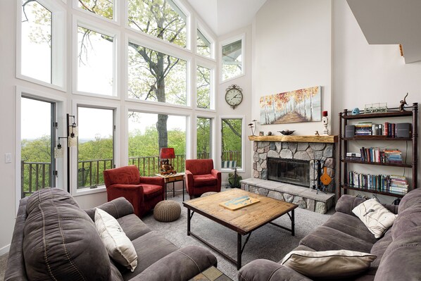 Smart TV, fireplace, books