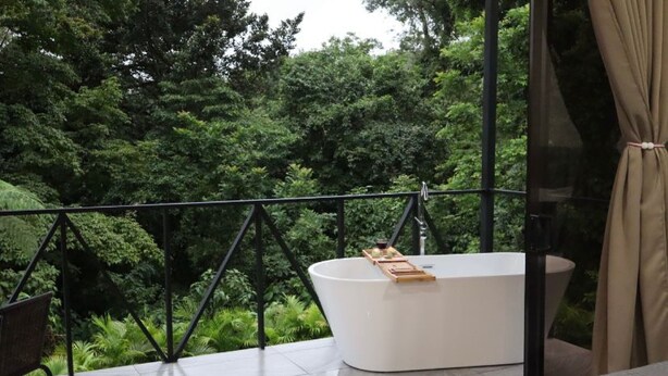 Une salle de bain moderne avec une baignoire sur pieds, un plateau en bois et une vue sur une végétation luxuriante à travers une fenêtre en verre.