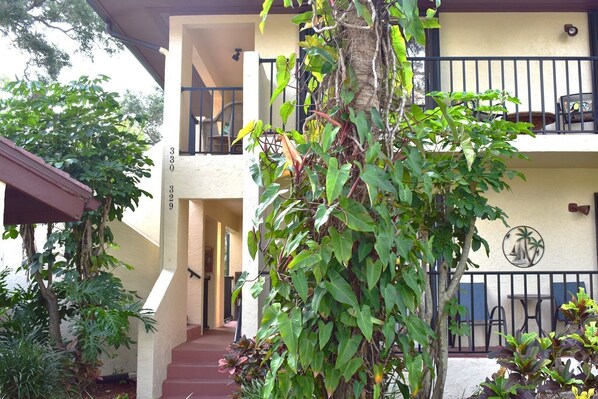 Unclassified image, 1 of 45, button