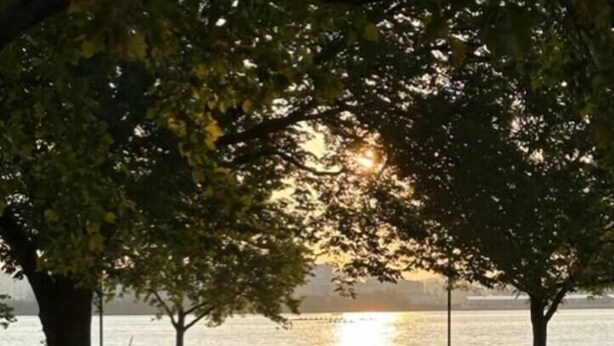 A park with a bench and picnic table, a stone bench, and a body of water in the background.