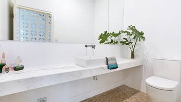 Hair dryer, towels, soap, toilet paper