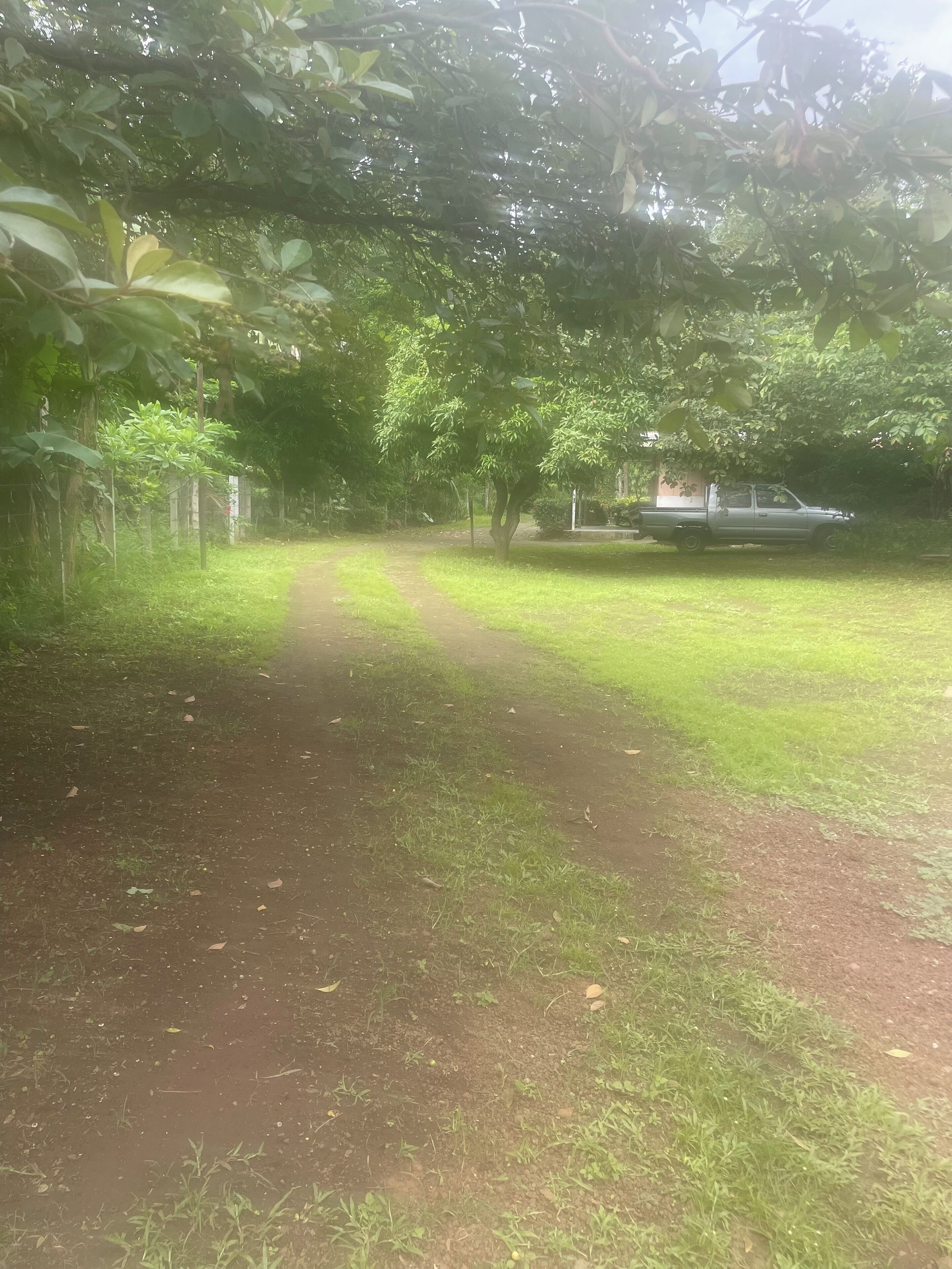 A dirt path leading through a lush green area with trees and a parked vehicle.