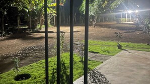 A nighttime view of a garden area with a concrete pathway, green grass, and trees. - Charming 2-bedroom cottage in beautiful Masaya with AC, WiFi (Masaya)