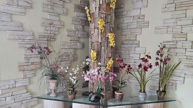 A room with a stone wall, a glass-top table with potted plants, and a wooden cabinet.