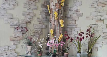 Modern 2-bedroom home with a cozy living room and fully equipped kitchen