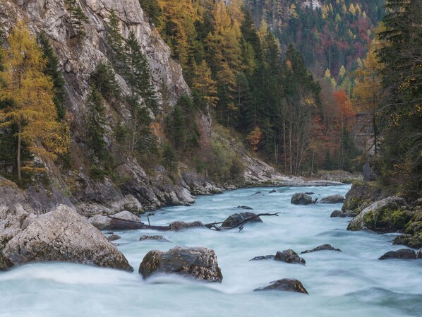 Un río que serpentea por un valle boscoso, con terreno rocoso y árboles de colores otoñales.