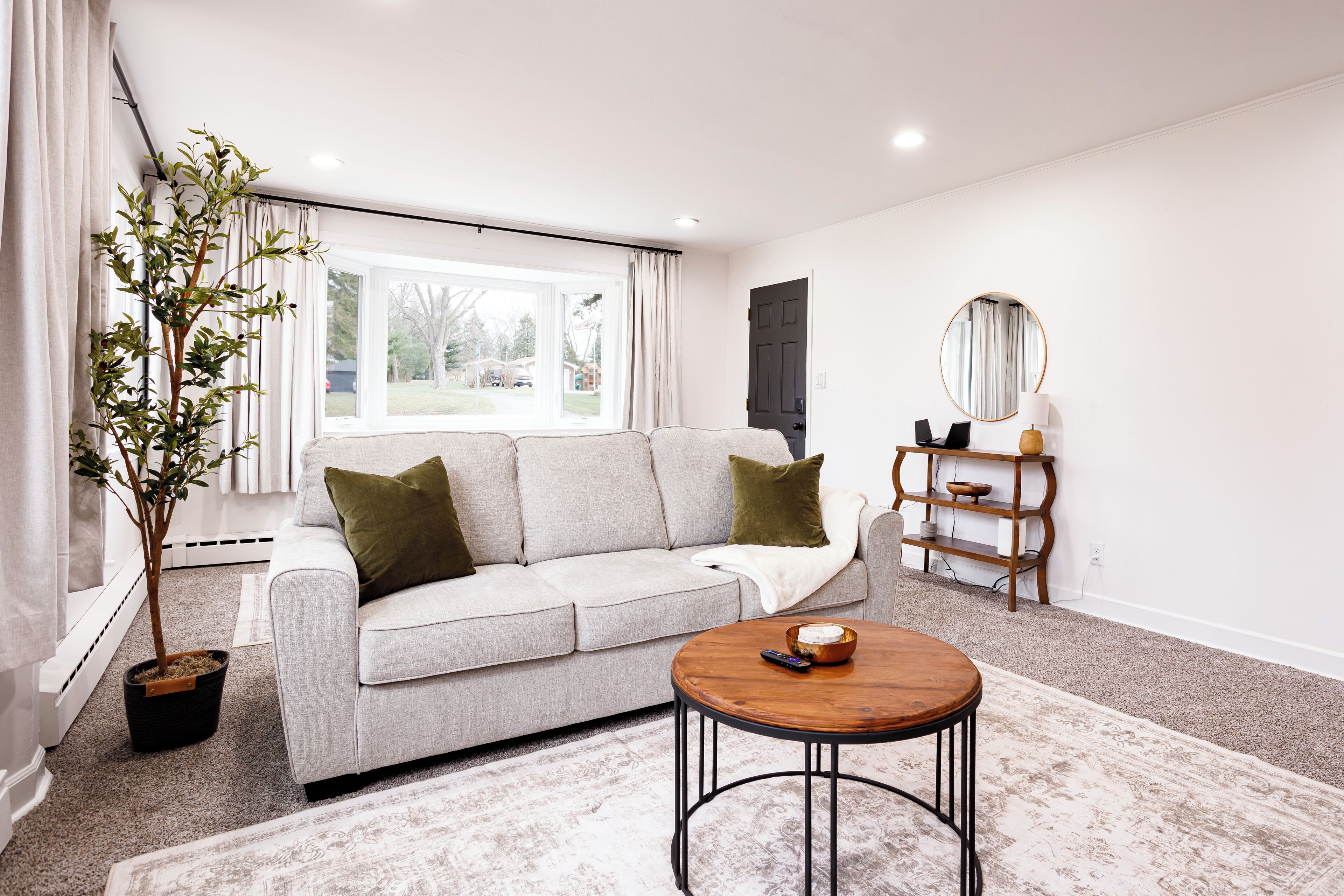 A modern living room with a sofa, a coffee table, a potted plant, and a view of the outdoors.