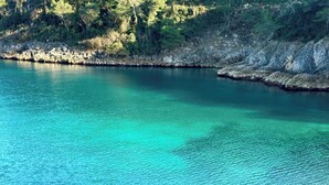 Una masa de agua tranquila con aguas turquesas cristalinas, rodeada de terreno rocoso y vegetación densa.