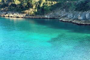 Una masa de agua tranquila con aguas turquesas cristalinas, rodeada de terreno rocoso y vegetación densa.