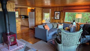 Una televisión, una chimenea, libros