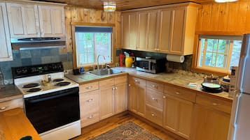 Frigorífico, microondas, horno y placa de cocina