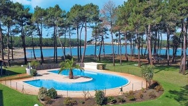 A swimming pool surrounded by a lawn and trees, with a view of the sea in the background.