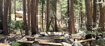 Beautiful lodge on creek, full bath, AC, WiFi, many amenities! Hot tub views!