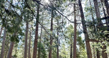 Beautiful lodge on creek, full bath, AC, WiFi, many amenities! Hot tub views!