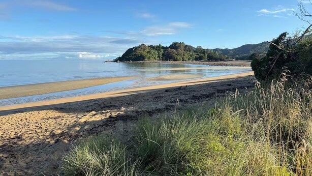 Une plage avec un rivage sablonneux, une petite île au loin et un ciel bleu dégagé.