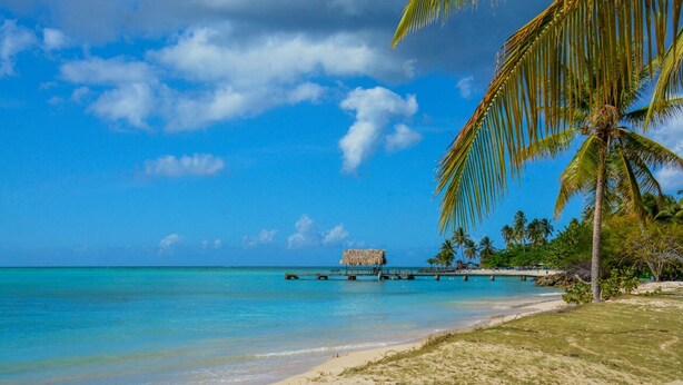 A beach with clear turquoise water, a thatched-roof hut, palm trees, and a wooden pier.