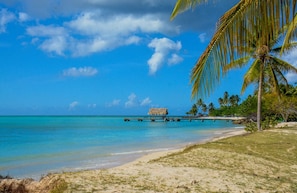 A beach with clear turquoise water, a thatched-roof hut, palm trees, and a wooden pier.