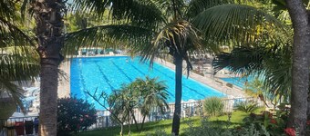 Golden Dolphin Express