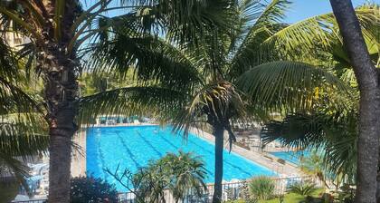 Golden Dolphin Express