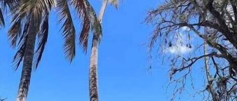 海滩