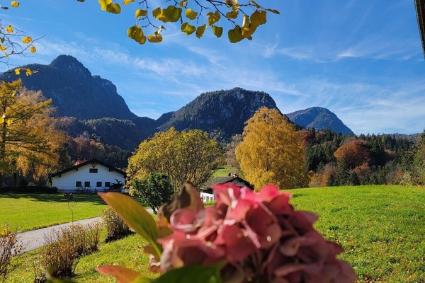 Landhaus Fellnerbauer (DE Bad Reichenhall) - Reiter Monika - 501260-Aussicht