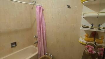 Shower, bidet, towels, soap