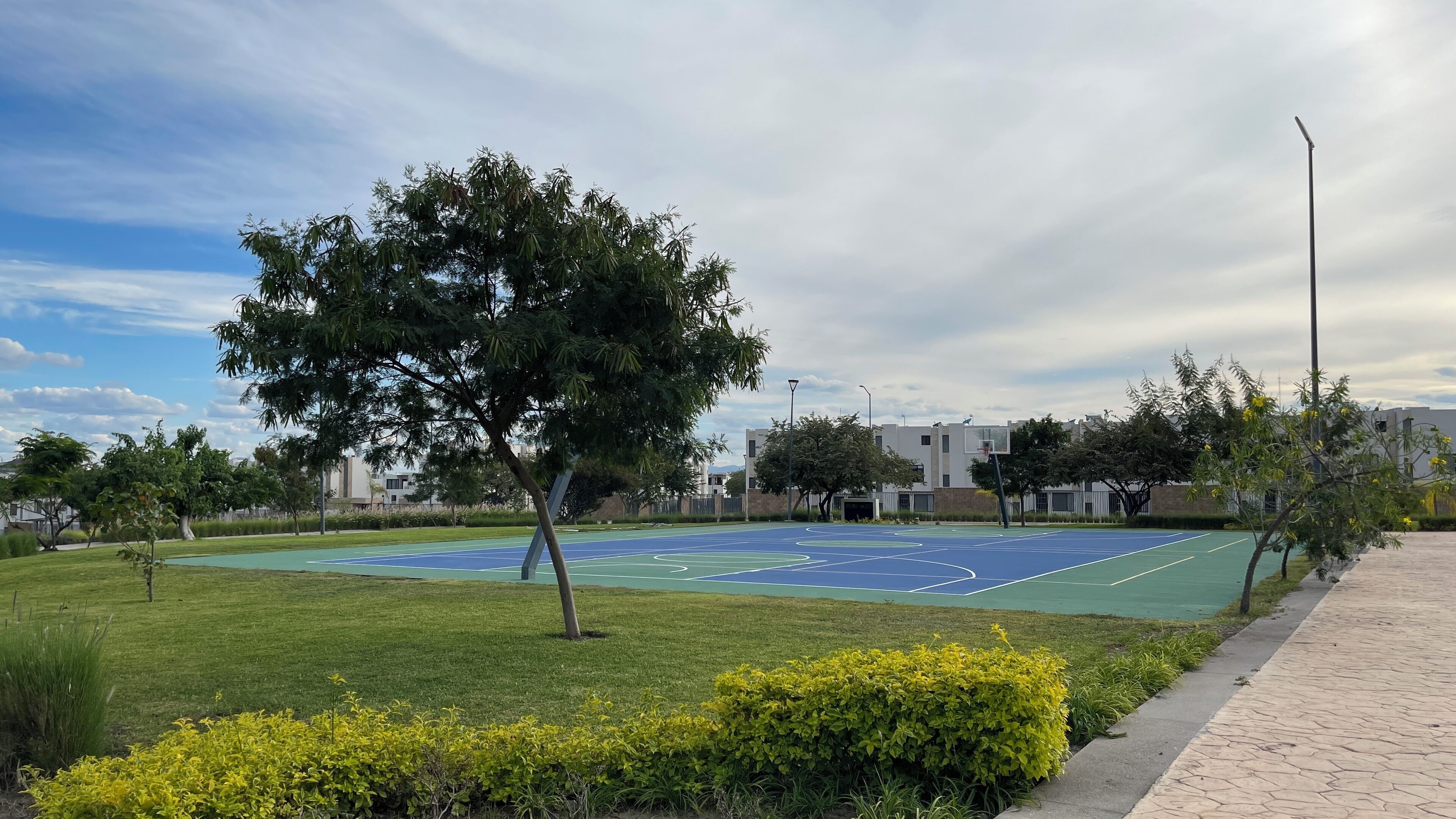 A basketball court with a tree in the foreground and a building in the background.