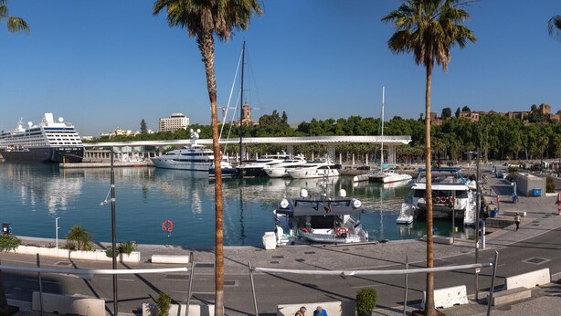 A marina with boats docked, palm trees lining the waterfront, and a cruise ship in the background.