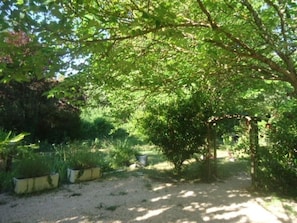 Terrain de l’hébergement