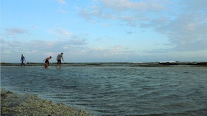 A beach scene with people in the water. - Seaside Sayang Heulang by Sinergi (Pameungpeuk)